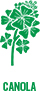 Canola