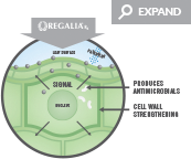 Expand REGALIA Rx Proactive Process