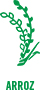 Arroz