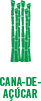 Cana de Acucar