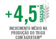 Incremento Trigo