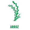 Arroz