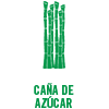 Cana de Azucar