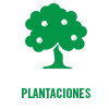 Plantaciones