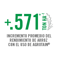 Rendimiento de Arroz