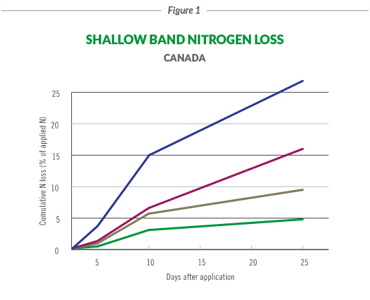 Shallow Band - Figure 1