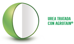 Urea Green